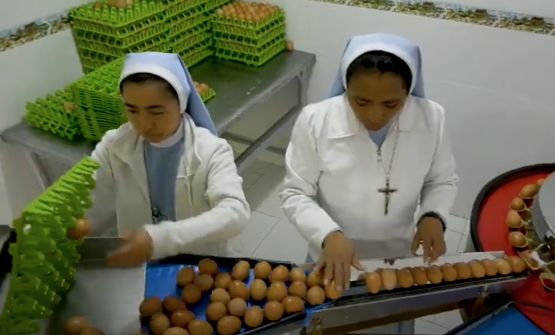 huevos