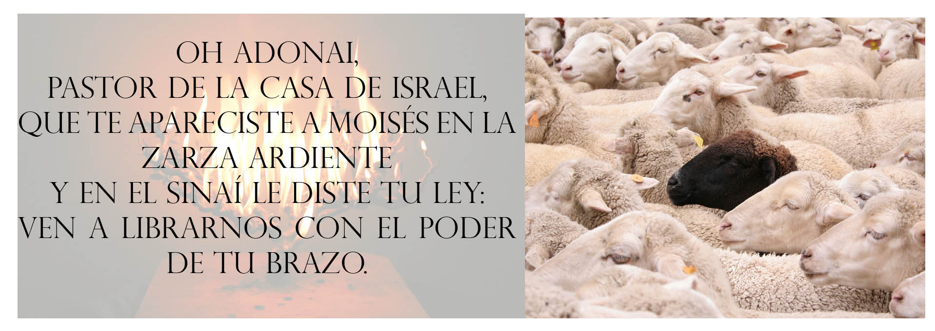Adonai