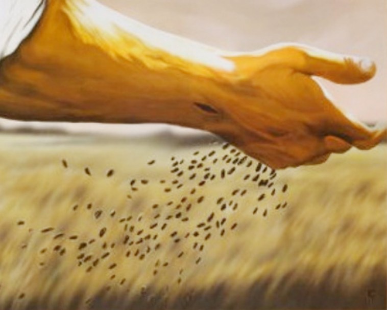 LITURGIA Octubre 6 Por la obediencia de la fe se viene realizando el proyecto de Dios