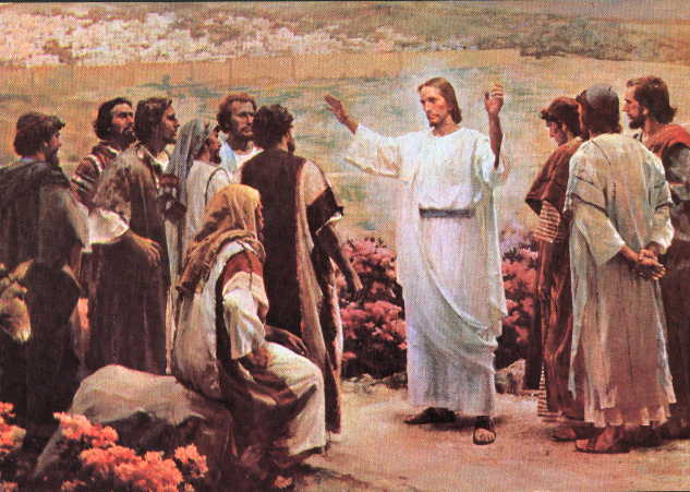 LITURGIA Julio19 Desde la compasión por el pueblo, Jesús anuncia el Reino