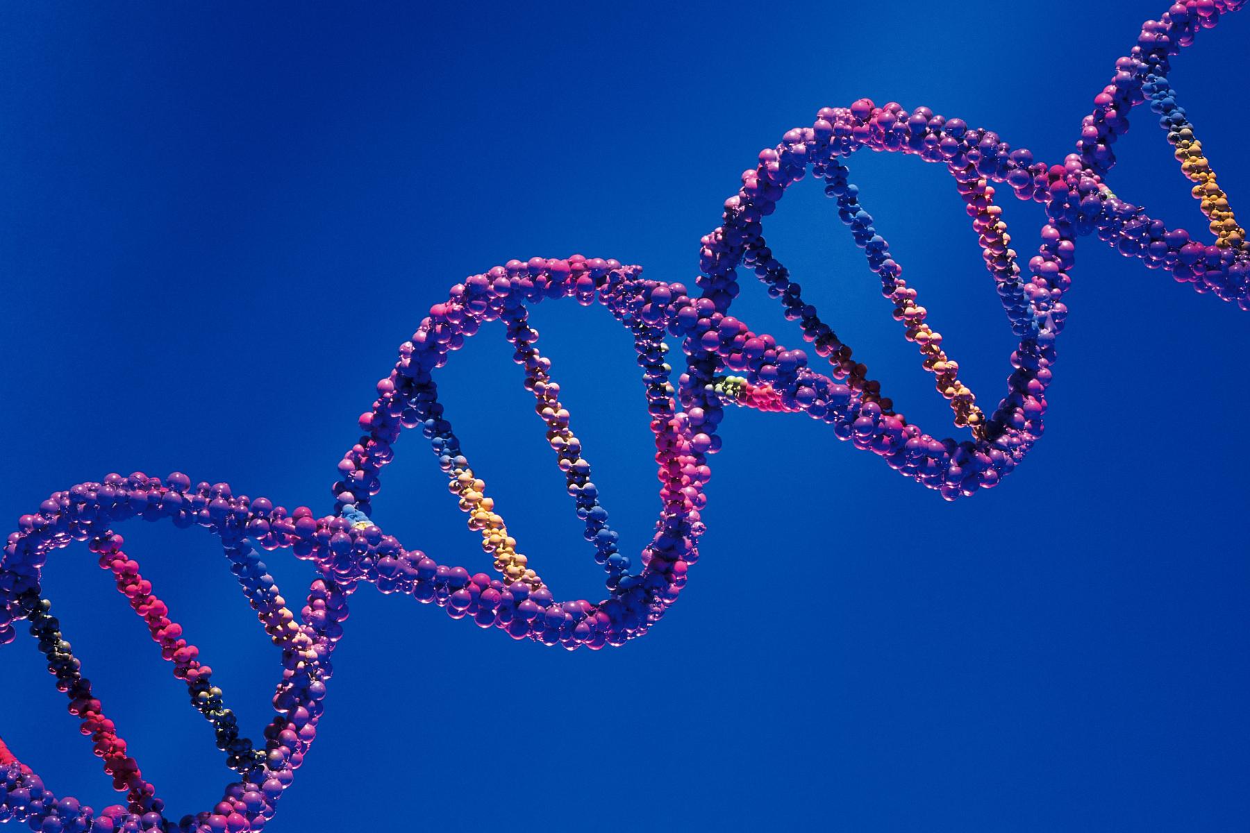 https://arquimedia.s3.amazonaws.com/2/noviembre/geneticajpg.jpg