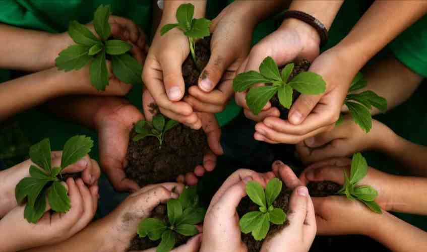 Medio ambiente