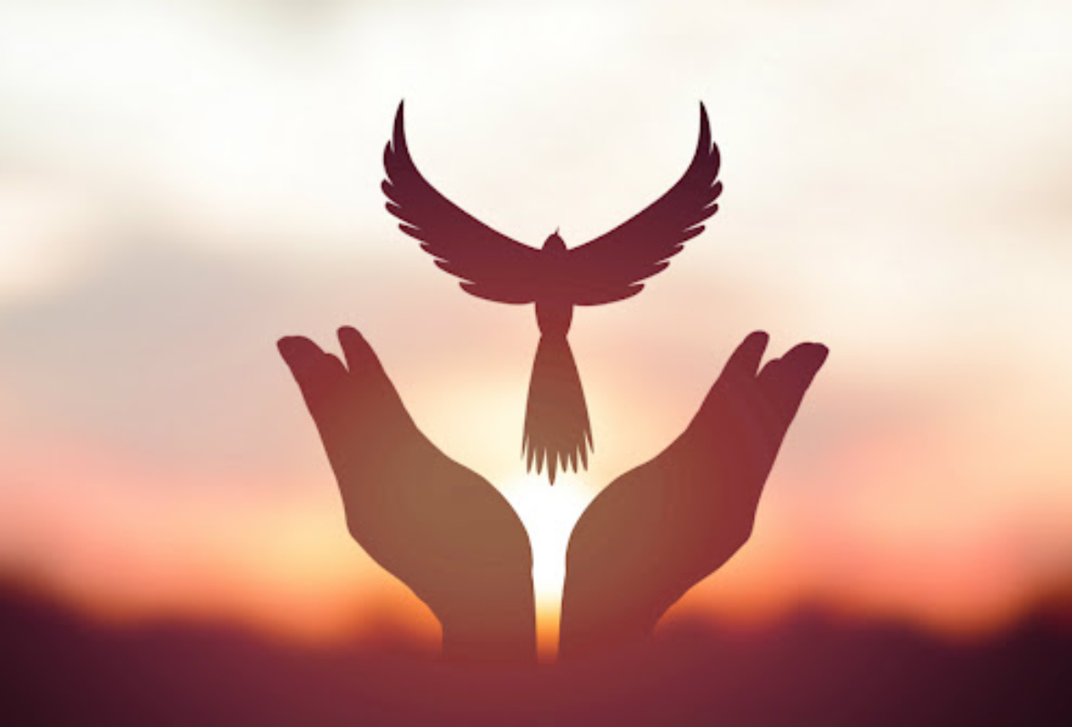 paz