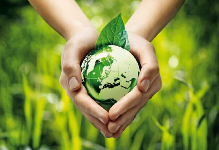 Ecología