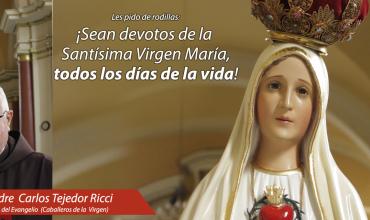 https://arquimedia.s3.amazonaws.com/2/doris/5-banner-carlos-tejedor-invitado-especialjpg.jpg